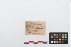 Etikett zu Bronzearmreif (NHMW-PRAE-024416)